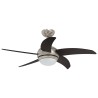 Ventilateur de plafond avec lumière et télécommande Ø 110 cm 644150644150