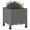 Jardinière avec Roues Gris clair 40 x 40 x 48 cm PP 644184644184