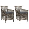 Chaise d'Extérieur 2 pcs Gris et Gris foncé polyrotin 644194644194