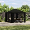 Abri de jardin avec parois 3 x 3 m Noir Polyester et Acier 644264644264