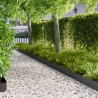 Bordure de Pelouse 20 pcs 100 x 20 cm Acier Noir 644274644274