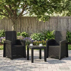 Chaise de jardin inclinable imitant le rotin 2 pcs Anthracite 644524644524
