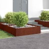 Bordure de Pelouse 4 pcs 100 x 100 x 35 cm Acier Rouillé 644601644601