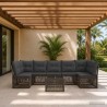 Ensemble de canapé de jardin 8 pcs Gris polyrotin 644641644641