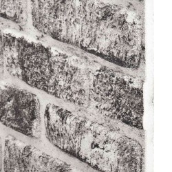Panneaux muraux 10 pcs Gris foncé et blanc 100 x 50 cm 644667644667