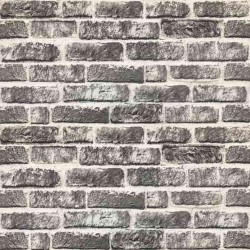 Panneaux muraux 10 pcs Gris foncé et blanc 100 x 50 cm 644667644667