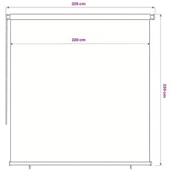 Store roulant d'extérieur 245 (l) x 230 (H) cm noir 644735644735