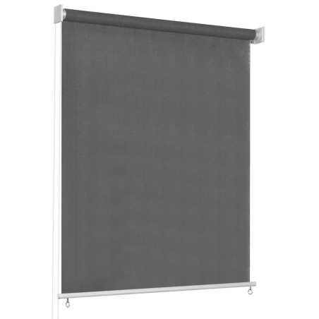Store roulant d'extérieur 65 (l) x 230 (H) cm anthracite 644736644736