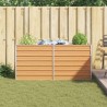 Jardinière surélevée Marron Clair 160 x 40 x 77 cm 644783644783