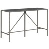 Ensemble de bar jardin 11pcs gris poly rotin/bois massif acacia 644832644832
