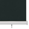 Store roulant d'extérieur 225 (l) x 230 (H) cm vert foncé HDPE 644856644856