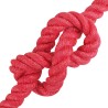 Corde en Jute Rouge Jute 100% Tossa 644957644957