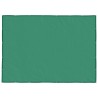 Filet pour remorque vert 2,5x3,5 m PEHD 645049645049