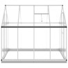 Serre avec cadre de base argenté 224x169x202 cm aluminium 645051645051