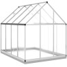 Serre avec cadre de base argenté 224x169x202 cm aluminium 645051645051