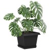 Plateau carré à fleurs 24 pcs Noir 18 x 18 x 2 cm Plastique 645229645229