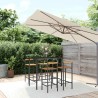 Ensemble de bar jardin 5 pcs noir poly rotin/bois massif acacia 645250645250