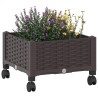 Jardinière avec Roues Marron 40 x 40 x 29 cm PP 645268645268
