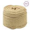 Corde de bateau 250 m 0.8 Naturel PP 645276645276