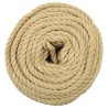 Corde de bateau 250 m 0.8 Naturel PP 645276645276