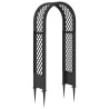 Arche à roses avec pointes Anthracite 97 x 43 x 218 cm PP 645277645277