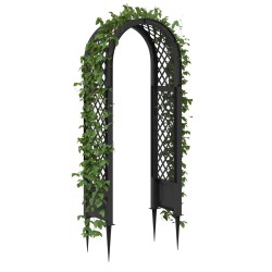 Arche à roses avec pointes Anthracite 97 x 43 x 218 cm PP 645277645277