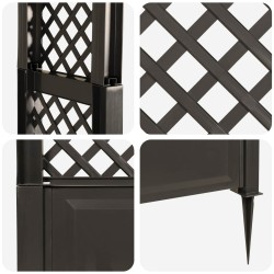 Arche à roses avec pointes Anthracite 97 x 43 x 218 cm PP 645277645277