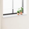 Appui de fenêtre Blanc 140 x 40 x 4,5 cm PVC 645305645305