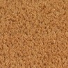 Tapis de porte naturel 50x80 cm fibre de coco touffeté 645358645358
