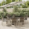 Ensemble à manger jardin et coussins 7 pcs gris rotin 645469645469