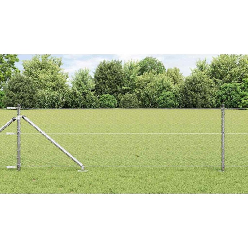 Clôture hexagonale avec poteau 50 x 0,6 m Acier galvanisé 645526645526
