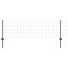 Clôture Euro avec poteau 10 x 0,6 m Acier recouvert de PVC Vert 645547645547