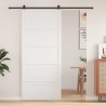 Porte de grange Blanc 100 x 2,5 x 208 cm Bois de pin massif 645665645665