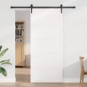 Porte de grange Blanc 100 x 2,5 x 208 cm Bois de pin massif 645665645665