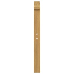 Module d'accoudoirs 2 pcs Blanc 60 x 6 x 61 cm 645815645815