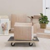 Chariot de Transport 6 pcs Gris Contreplaqué 645854645854