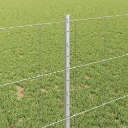Clôture sauvage extérieure avec poteaux 50 x 1 m Argenté Maille 646031646031