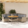 Salon de jardin avec coussins 2 pcs beige résine tressée 646095646095
