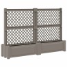 Grand pot avec trellis 2 pcs Gris 200 x 43 x 133,5 cm PP 646154646154