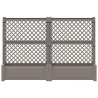 Grand pot avec trellis 2 pcs Gris 200 x 43 x 133,5 cm PP 646154646154