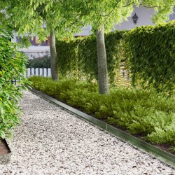 Bordure de Pelouse 30 pcs 100 x 10 x 8 cm Acier Argenté 646261646261