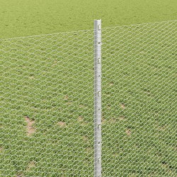 Clôture hexagonale avec poteau 50 x 1 m Acier galvanisé Argenté 646268646268