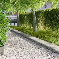 Bordure de Pelouse 20 pcs 103 x 30 cm métal Argenté 646289646289