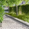 Bordure de Pelouse 20 pcs 103 x 30 cm métal Argenté 646289646289