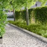 Bordure de Pelouse 20 pcs 103 x 25 cm Acier Argenté 646298646298