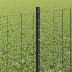Clôture Euro avec poteau 25 x 0,6 m Acier recouvert de PVC Gris 646320646320