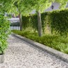 Bordure de Pelouse 20 pcs 100 x 18 cm Acier Argenté 646511646511