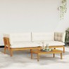 Unité du canapé en palette de jardin 2 Pièce 646574646574