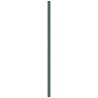 Membrane anti-mauvaises herbes vert 4x10 m PP 646750646750