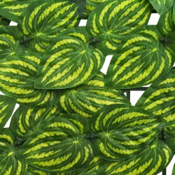 Écran de balcon avec feuilles Vert et jaune 500 x 75 cm 646751646751
